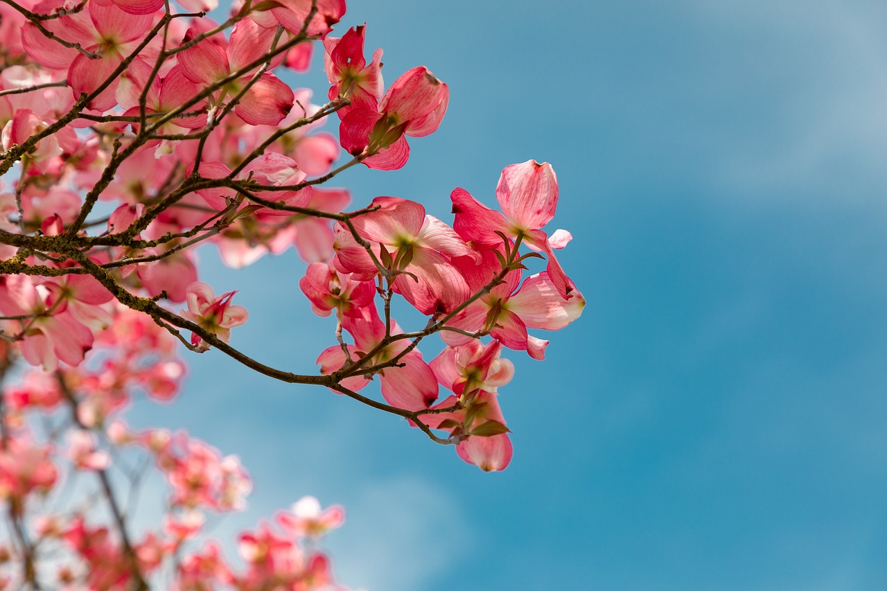 The Zen of Zen Gardens: Mindful Crafts for Kids